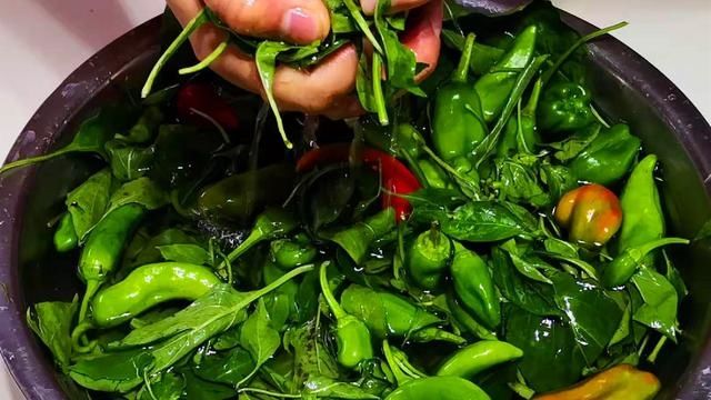 做法|腌辣椒,最忌直接加盐腌,教你正确做法,3个小时就能吃,太香了