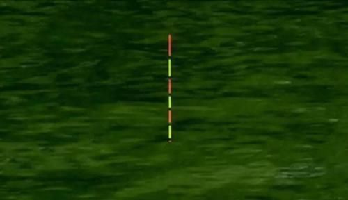 目数|钓鱼不会调漂?按照这几步慢慢来,准没错!