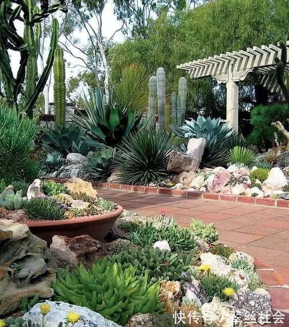 庭院花园|11个院子花园设计,沏一壶好茶,晒个懒洋洋的太阳,乐哉