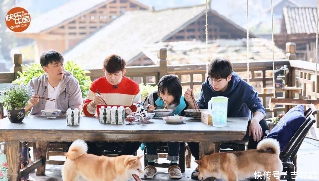 冰箱|《冰箱》变《向往》,《萌探》像《王牌》,综艺节目也开始内卷?