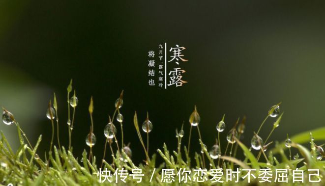 食用枸杞|枸杞与“它”一起泡，坚持喝一周，有助于排肝毒，给肝“洗个澡”