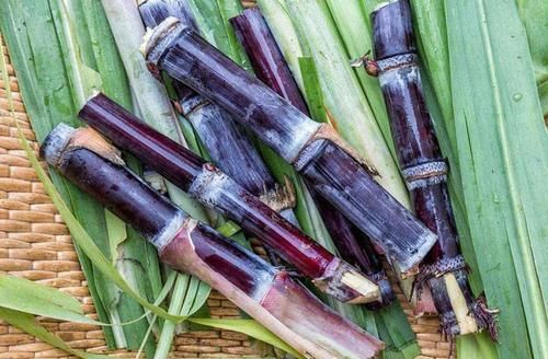 糖尿病患者|糖尿病人可以吃猕猴桃吗？医生：若想稳定血糖，3种水果还请拉黑