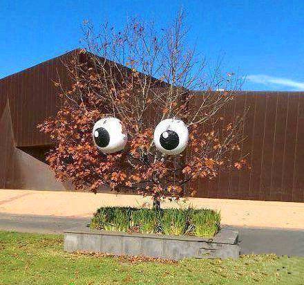 |搞笑图片幽默段子笑话兄弟你很会享受哦,一下子泡如此多的泡面