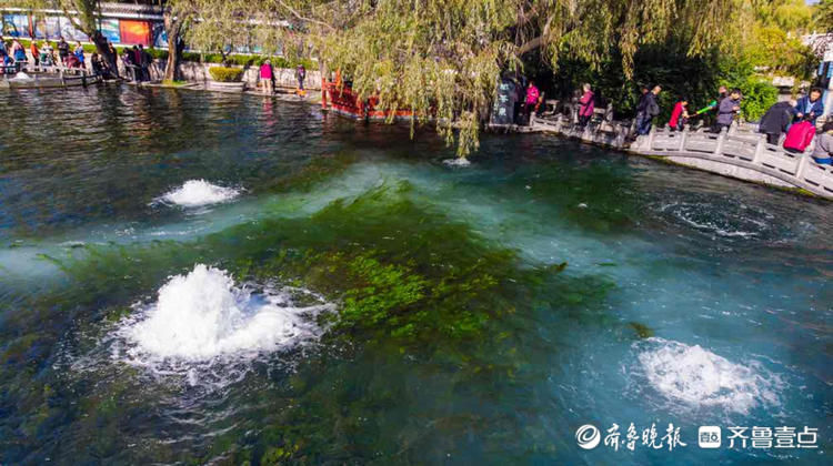 济南这处泉水“开了”！壹粉航拍梅花泉，泉水喷涌游人醉|情报站| 泉水