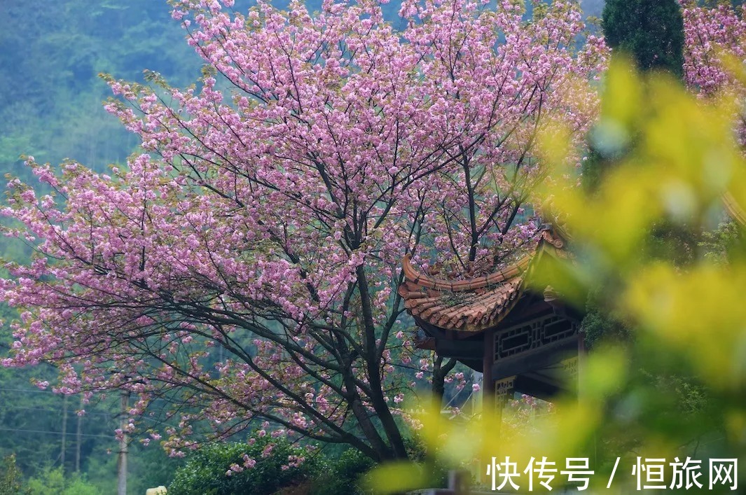 从哪一站上车，开往故乡……|旅博动态 | 示范村