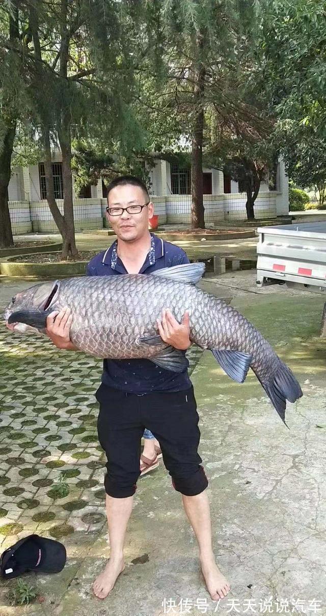 野钓到底什么饵料好？小鱼商品大鱼发酵，但要留意搭配