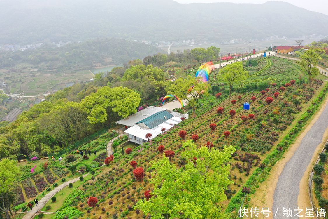 牡丹花、风车公路、烽火台、海港，美丽的风景线