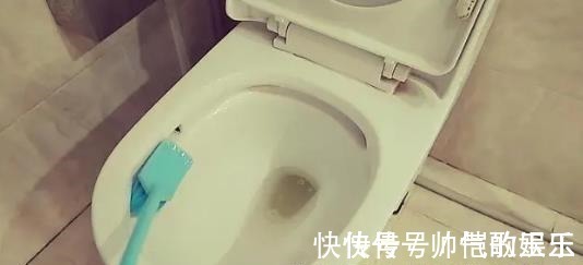 卫生间|去表姐家借住,一进卫生间就呆了,这样布置真高级,拍下来照着学