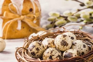 卵磷脂|鹌鹑蛋中的卵磷脂,对促进胎儿脑部发育作用有多大?