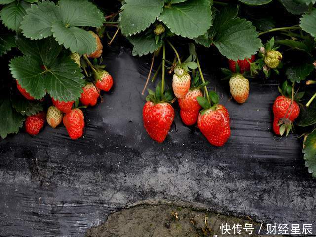 医生|得了乙肝吃鸡蛋,肝会受不了?医生告诉你真正养肝食物是什么