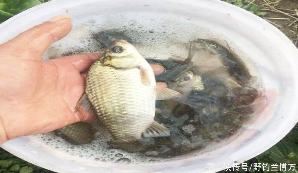 自从学会了自制钓鱼饵料,越做越上瘾,根本停不下来