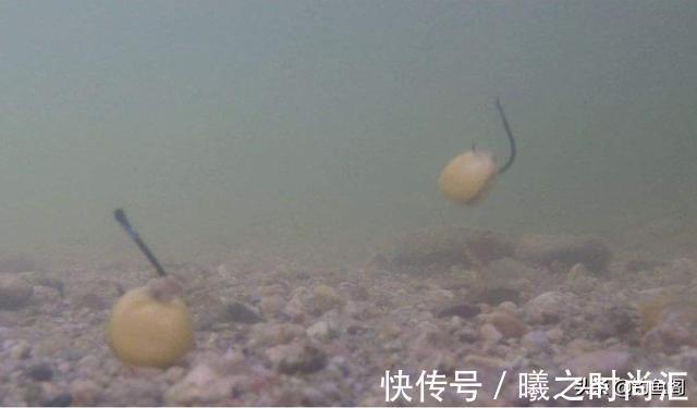 鱼不开口咋整?打窝、死守都没用,这4招才能快速见效