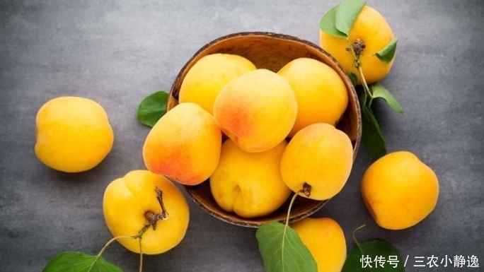 土壤|黄桃采摘结束，应该这样养护管理，来年桃子又红又大且美味