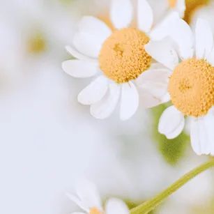 骨骼|这样饮食，骨骼常年轻！