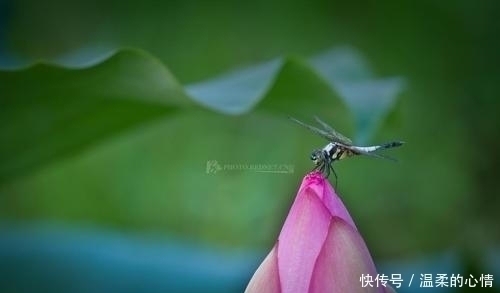 孝顺|孩子出生在几点钟,命好最有出息,孝顺父母,个个天资聪颖