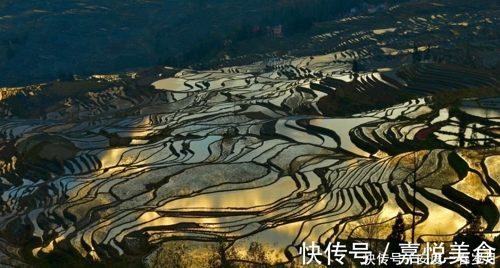 哈尼梯田|通往天堂的阶梯，红河哈尼梯田，简直美的和画一样！