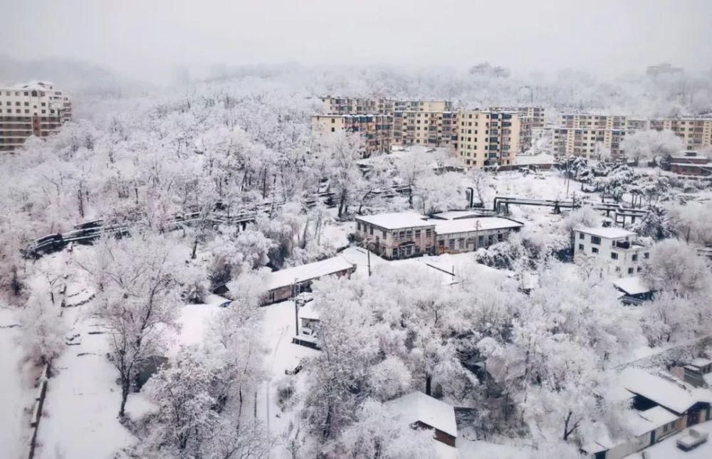 中年|冰天雪地看本溪之瑞雪兆丰年（1）