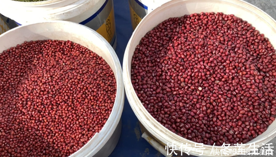 高压锅|天冷了,少吃水果多吃它,一次煮好放冰箱,随吃随拿,真省事