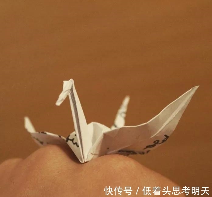 重样|每天折一只千纸鹤,他坚持了1000天不重样,女友被感动到梨花带雨