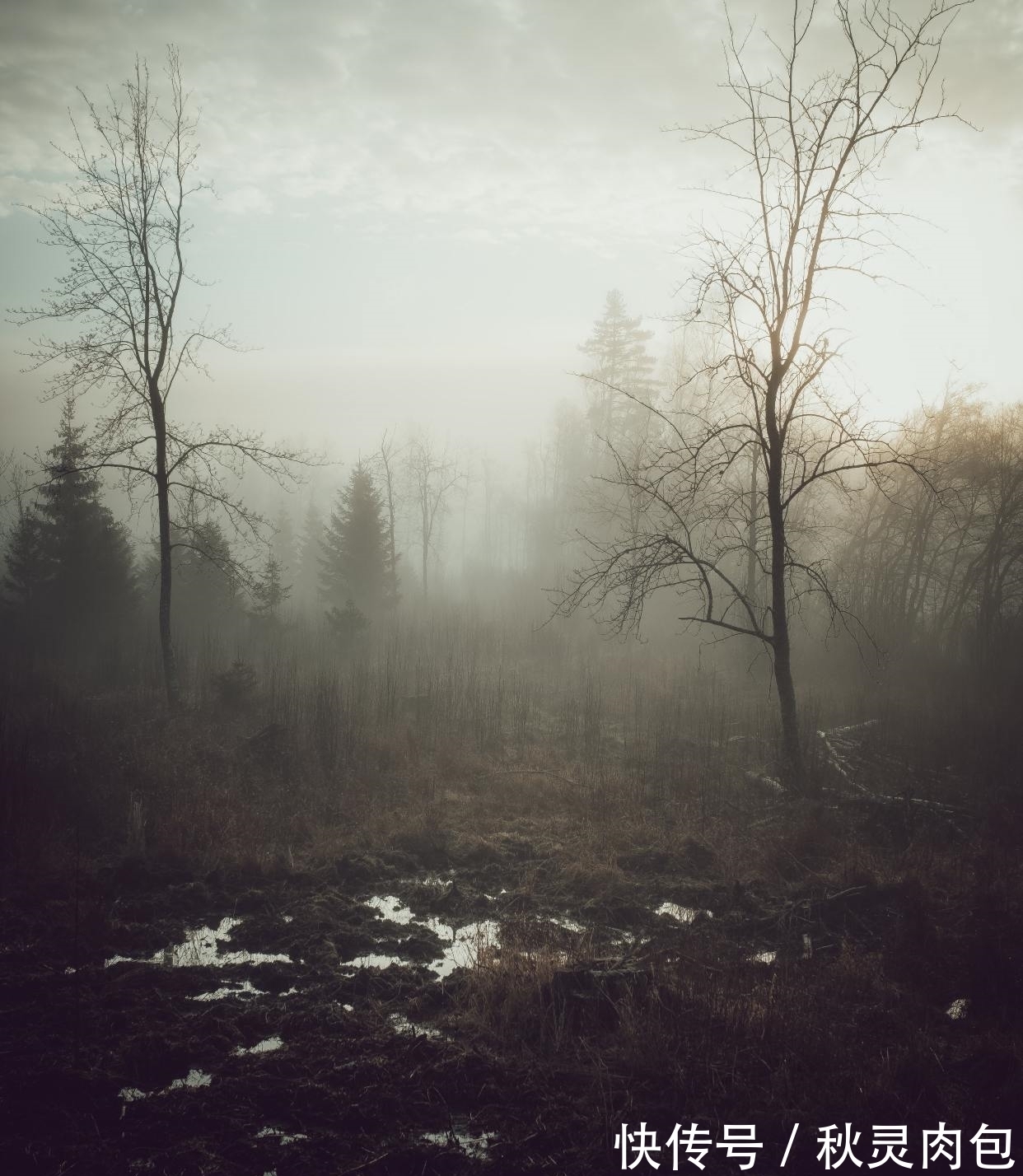 宋代&宋代一首描写农村生活的短诗,只有短短28字,又美好又真实