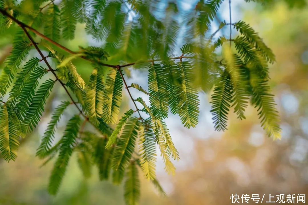 教学楼|本周日，华东师大招生咨询校园开放日来了