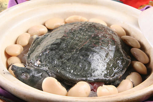 甲鱼|怀孕禁止吃的食物表,油条、菠菜、甲鱼、马齿苋