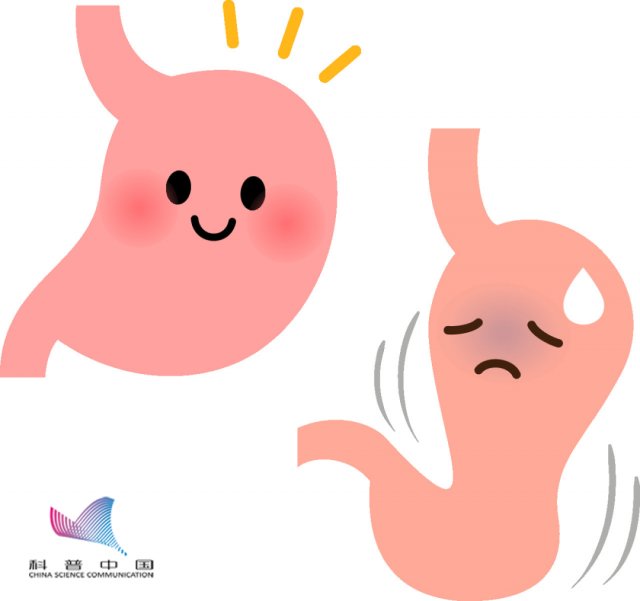 Should you lie down, sit, or stand after eating? The doctor gave the