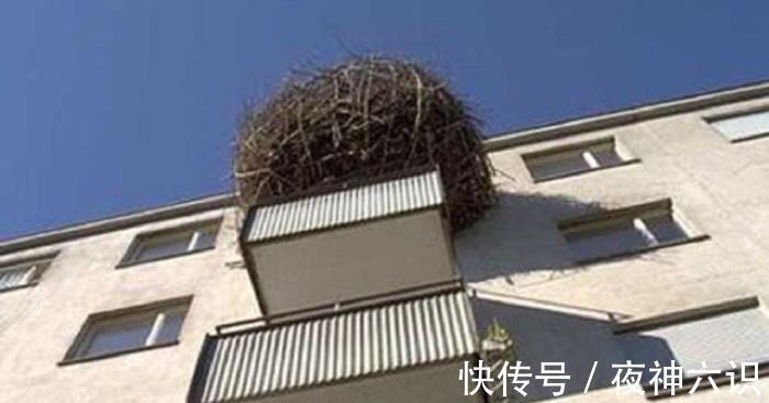 骏马|世界上十个最“奇葩”的阳台,最后一个,实在是太有创意了!