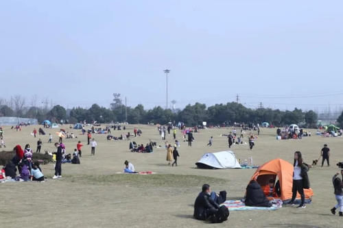 周末不出成都主城区，4万平花田不要门票，地铁10号线直达