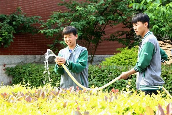 开展|淮北市实验高级中学扎实持续开展劳动教育课程