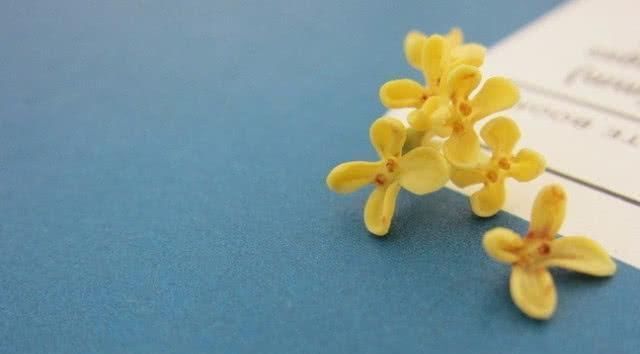 止咳化痰|经常抽烟的人, 这几样食物经常吃一点, 排出肺部毒素, 肺更健康!