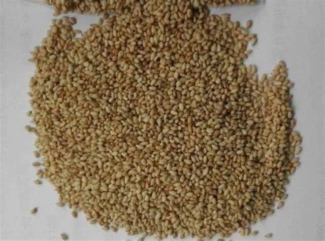 钓鱼不花1分钱!号称最牛配方,饵料下水2秒上钩,狂拉大鲤大草!