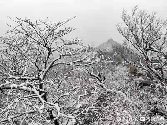 元宵节|冒雪登上千佛山，一览泉城美景、北国风光