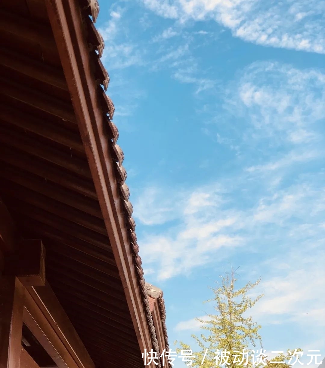 郑州电专|郑州电专“练习生”正式出道!