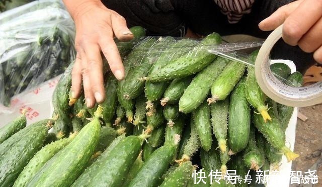 农药残留|原来辨别激素黄瓜如此简单,认准这4点,一眼就看出来,长见识了