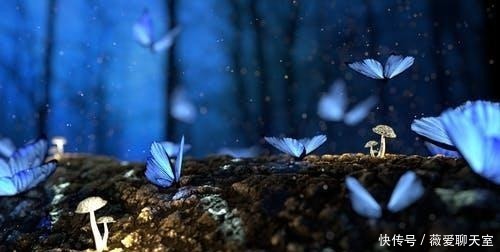 石头|世界上最神奇的石头已经存在了几千年, 其中之一就是在我国