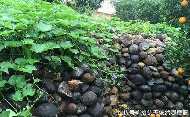 这个地方玛瑙已经泛滥,家家户户都用玛瑙砌墙!