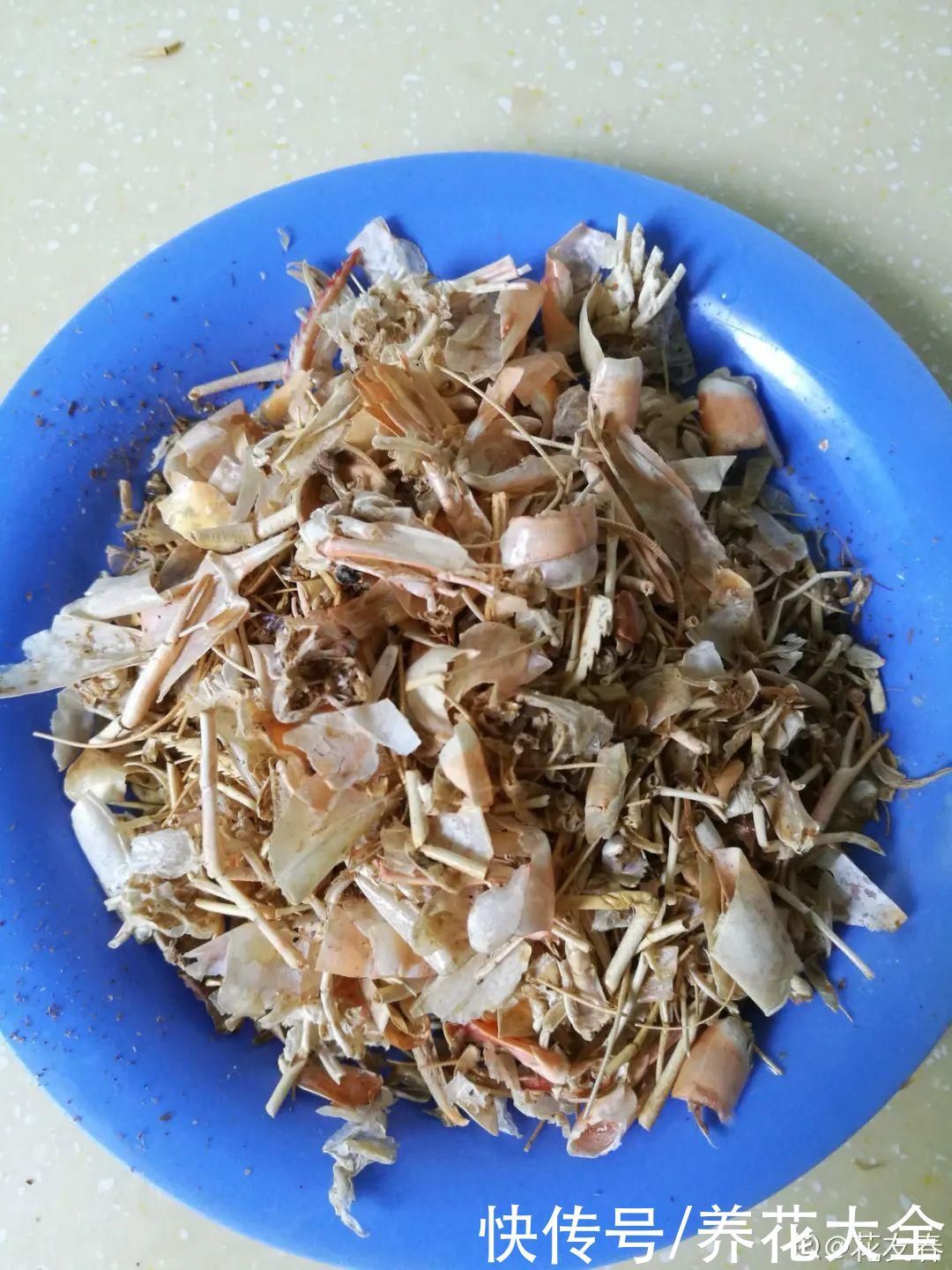 门前不栽竹,门后不留树,老祖宗传下来的养花谚语,特别准