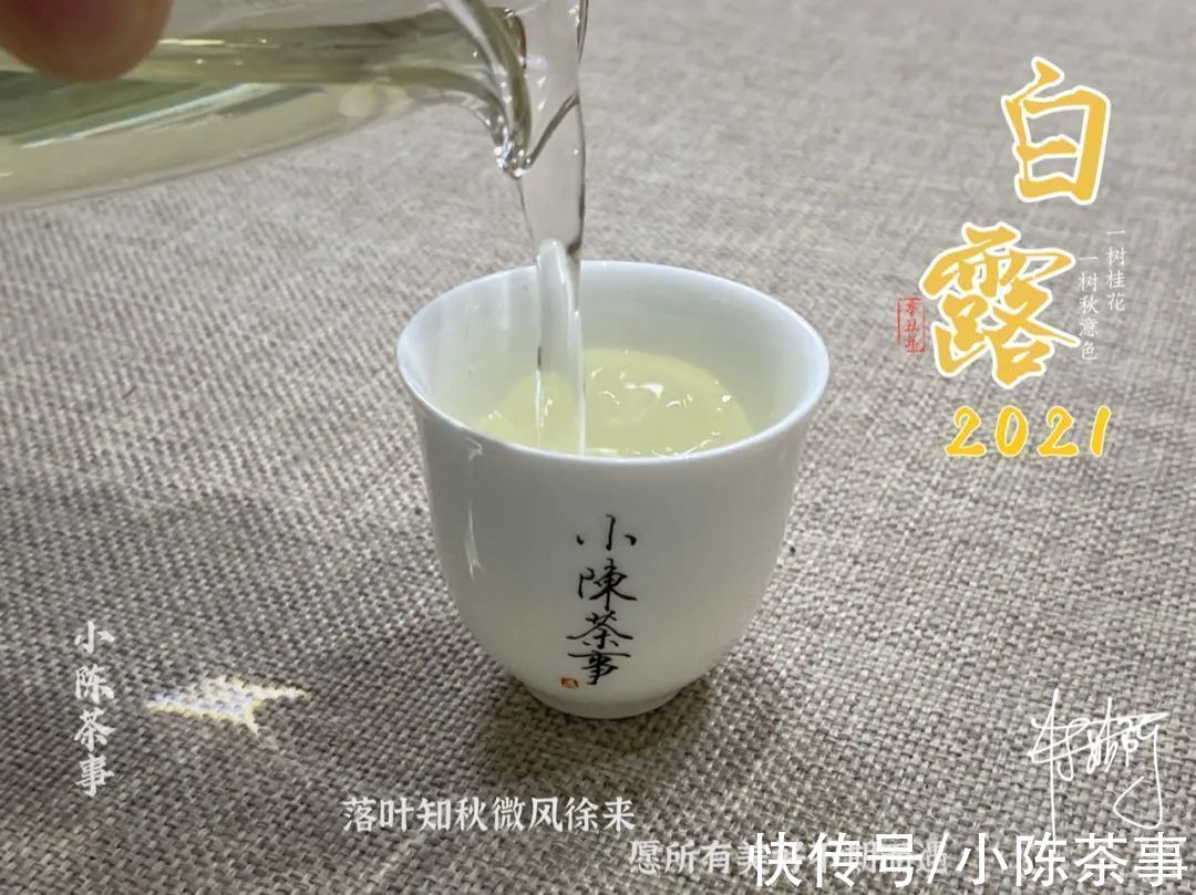 白茶！六大茶类的划分标准，白茶、绿茶、红茶、黑茶，是靠颜色划分吗？