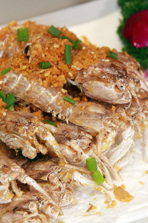  排挡经典菜，海敢小鱿鱼