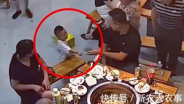 萌娃|安徽一萌娃火了,偷拿香烟分给店里的客人,网友:幼崽智商天花板