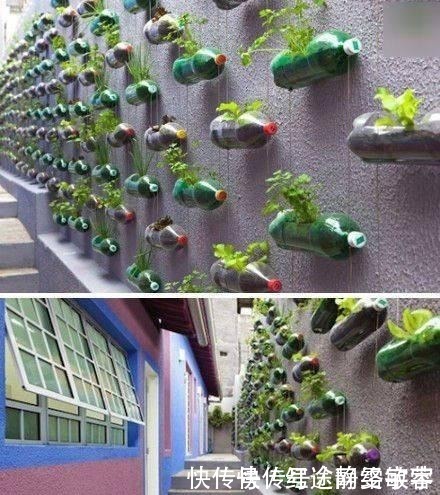 用完的洗衣液瓶千万别扔，它大有妙用！