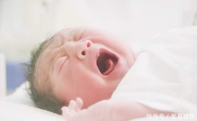 龙宝宝|生孩子要看属相?这4个属相的孩子有优势,孩子比同龄人更聪明