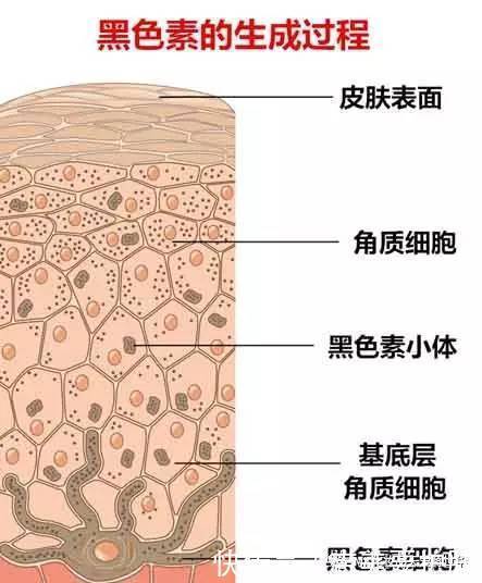 韩乐坊学习网