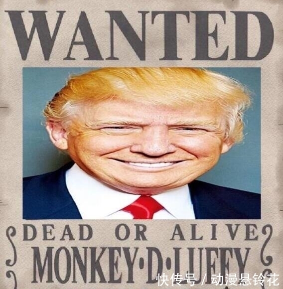 贝利|海贼王:本以为罗杰赏金最高,当他的赏金公布后,漫迷:太爆炸了