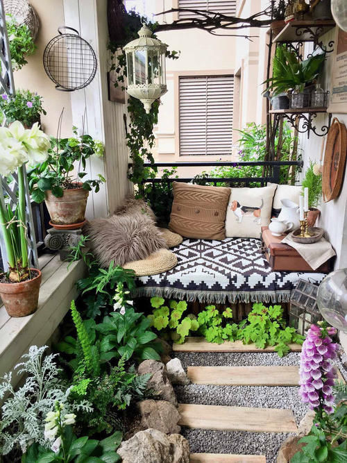 30㎡阳台改造的植物花园，网友直呼：这是我见过最美的阳台花园