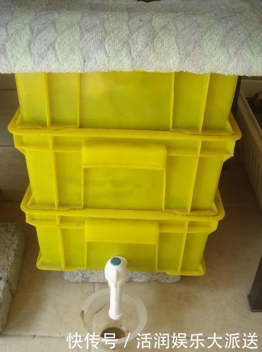 淘米水啤酒水,真不如这种水,养花一绝,浇一盆旺一盆