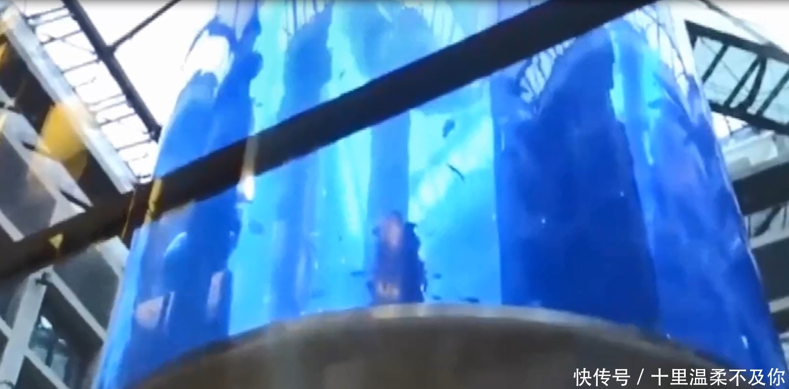 足足有八层楼那么高的鱼缸,堪称小型生物圈,破了可咋整?