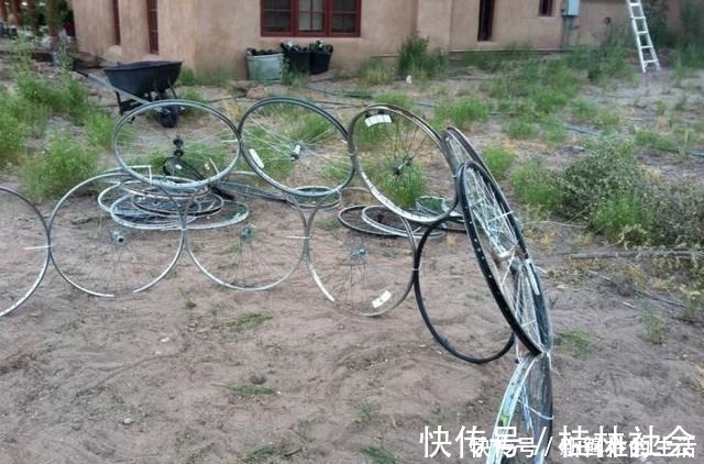 车轮|找到不属违建的阳光房了,用车轮做框架,不用一块玻璃盖成阳光房!