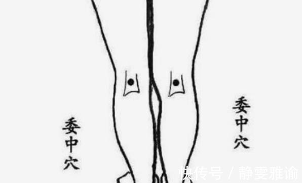 委中穴|湿气严重怎么办4个穴位每天敲几下，把体内寒、湿毒气都逼出来